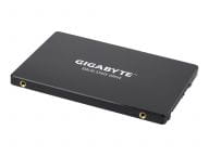 Gigabyte SSDs GP-GSTFS31256GTND 2