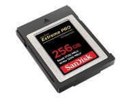 SanDisk Speicherkarten/USB-Sticks SDCFE-256G-GN4NN 2