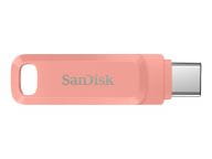 SanDisk Speicherkarten/USB-Sticks SDDDC3-256G-G46PC 1