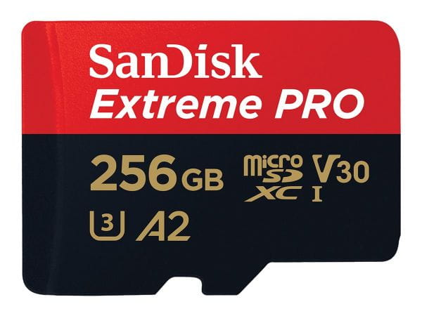SanDisk Speicherkarten/USB-Sticks SDSQXCD-256G-GN6MA 1