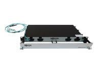 Tripp Kabel / Adapter N48M-2M8L4-20 3