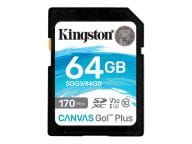 Kingston Speicherkarten/USB-Sticks SDG3/64GB 2