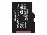 Kingston Speicherkarten/USB-Sticks SDCS2/256GBSP 1