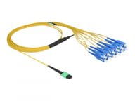 Delock Kabel / Adapter 84871 1