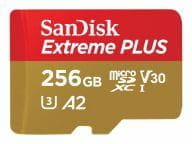 SanDisk Speicherkarten/USB-Sticks SDSQXBD-256G-GN6MA 2