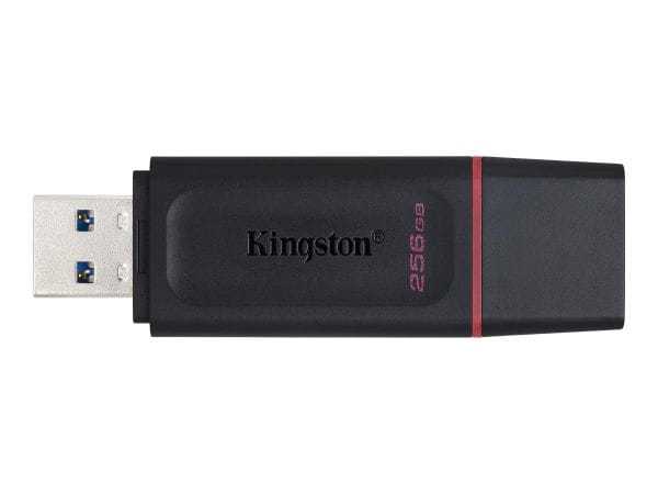 Kingston Speicherkarten/USB-Sticks DTX/256GB 1