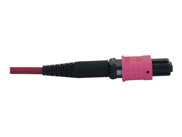 Tripp Kabel / Adapter N845B-02M-12-MG 2