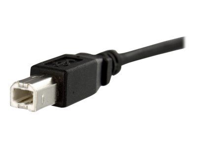 StarTech.com Kabel / Adapter USBPNLBFBM3 2
