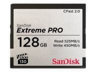 SanDisk Speicherkarten/USB-Sticks SDCFSP-128G-G46D 2