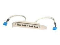 StarTech.com Kabel / Adapter USBPLATE4 2