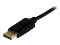 StarTech.com Kabel / Adapter DP2HDMM2MB 5