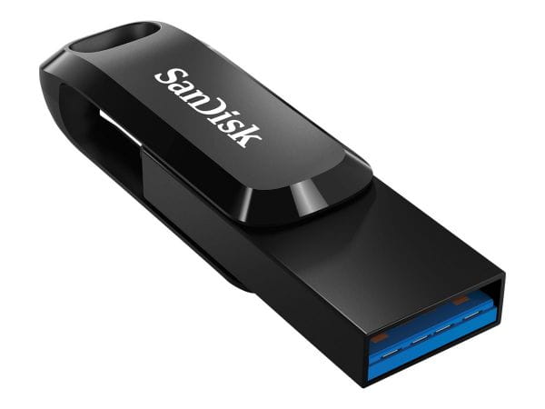 SanDisk Speicherkarten/USB-Sticks SDDDC3-256G-G46 2