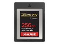 SanDisk Speicherkarten/USB-Sticks SDCFE-256G-GN4NN 4