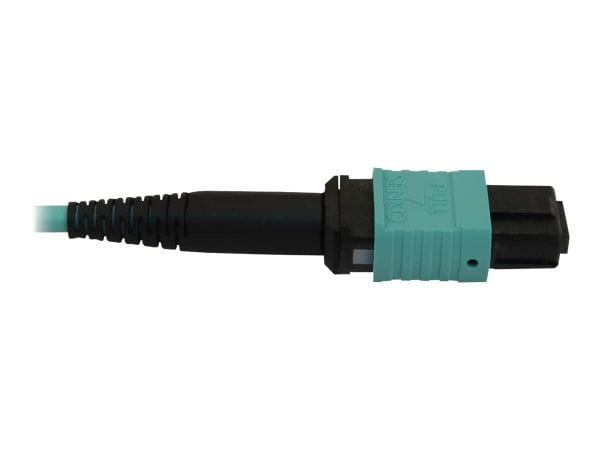Tripp Kabel / Adapter N844B-02M-12-P 3