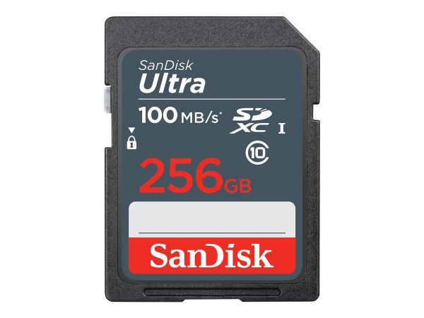 SanDisk Speicherkarten/USB-Sticks SDSDUNR-256G-GN3IN 3