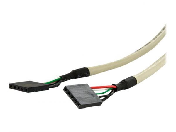 StarTech.com Kabel / Adapter USBPLATELP 2
