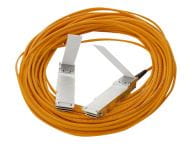 HPE Kabel / Adapter 720211-B21 1