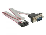 Delock Kabel / Adapter 89900 1