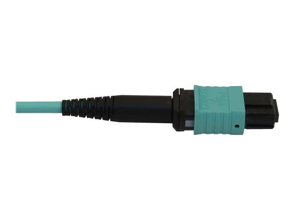 Tripp Kabel / Adapter N844X-05M-8L-P 3