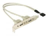 Delock Kabel / Adapter 71000 2