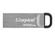 Kingston Speicherkarten/USB-Sticks DTKN/256GB 1