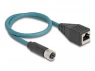 Delock Kabel / Adapter 60070 1