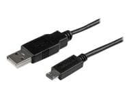 StarTech.com Kabel / Adapter USBAUB2MBK 4